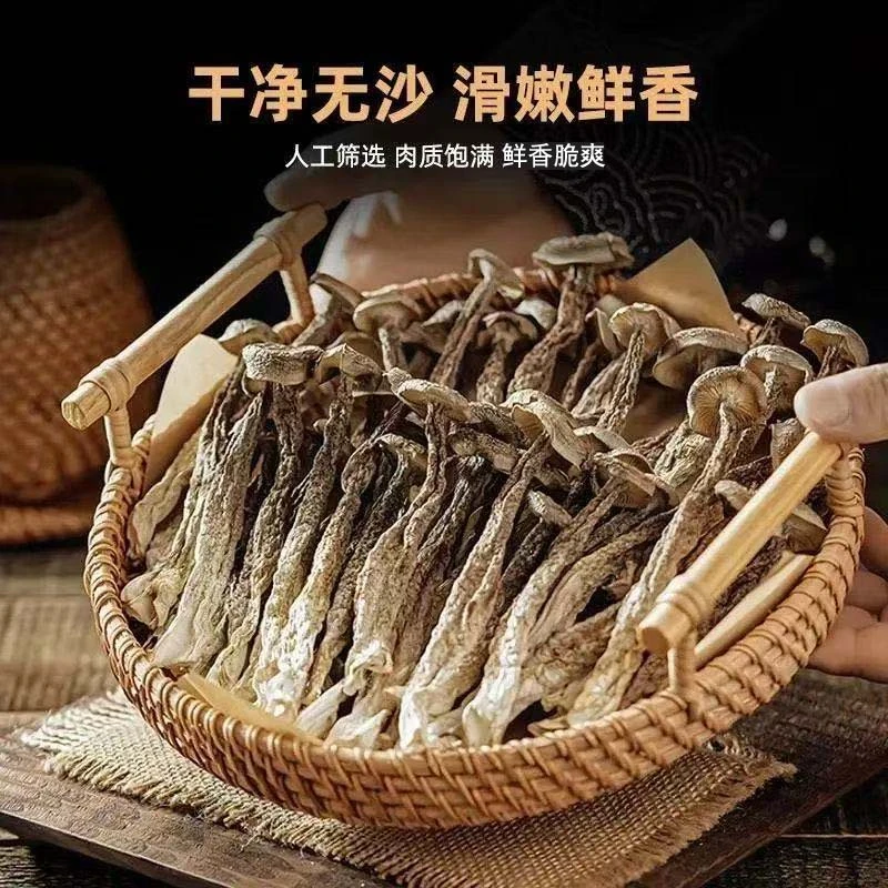 精选农家特产500g高山鹿茸菇批发新鲜菌菌菇菌类脆脆菇