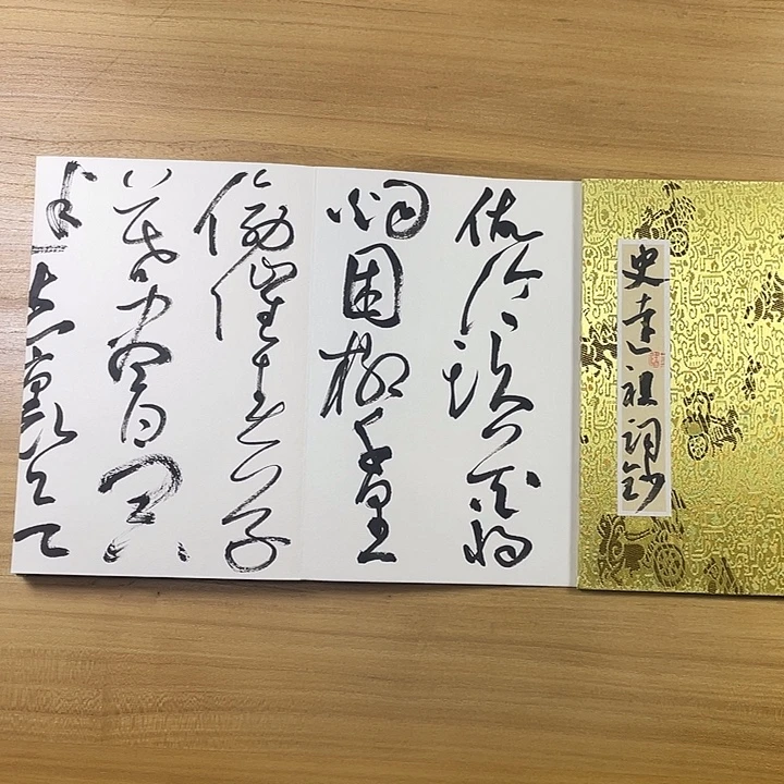 书法中书协会员作品