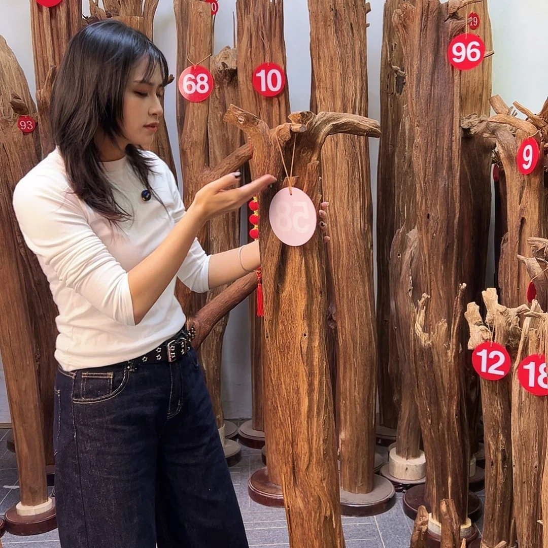 沉香碎屑沉香天然沉香原料香料