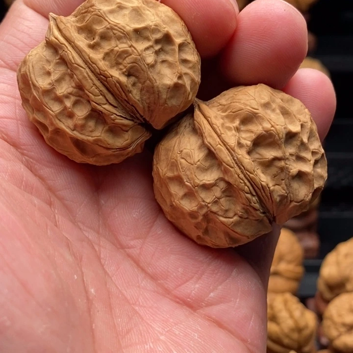 文玩核桃把件中场福利，粗筋龙甲