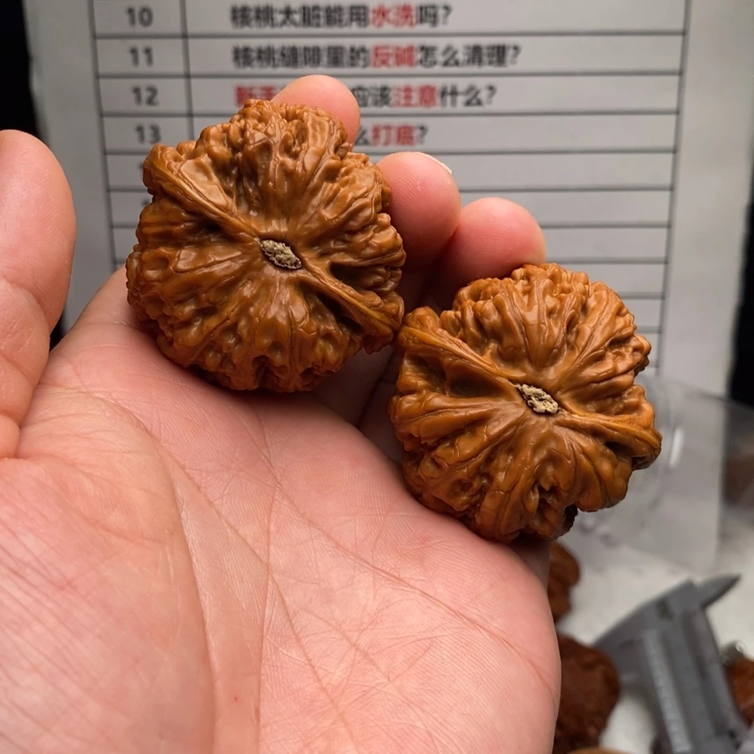 桃核吊坠47全品大粗筋