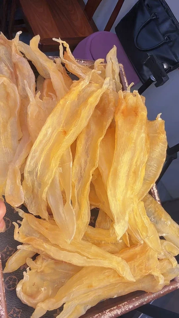 广东尖尾北海公鱼胶1-509g