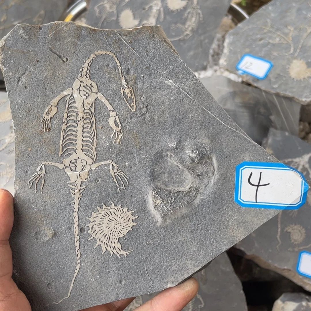 石材444444444444444444