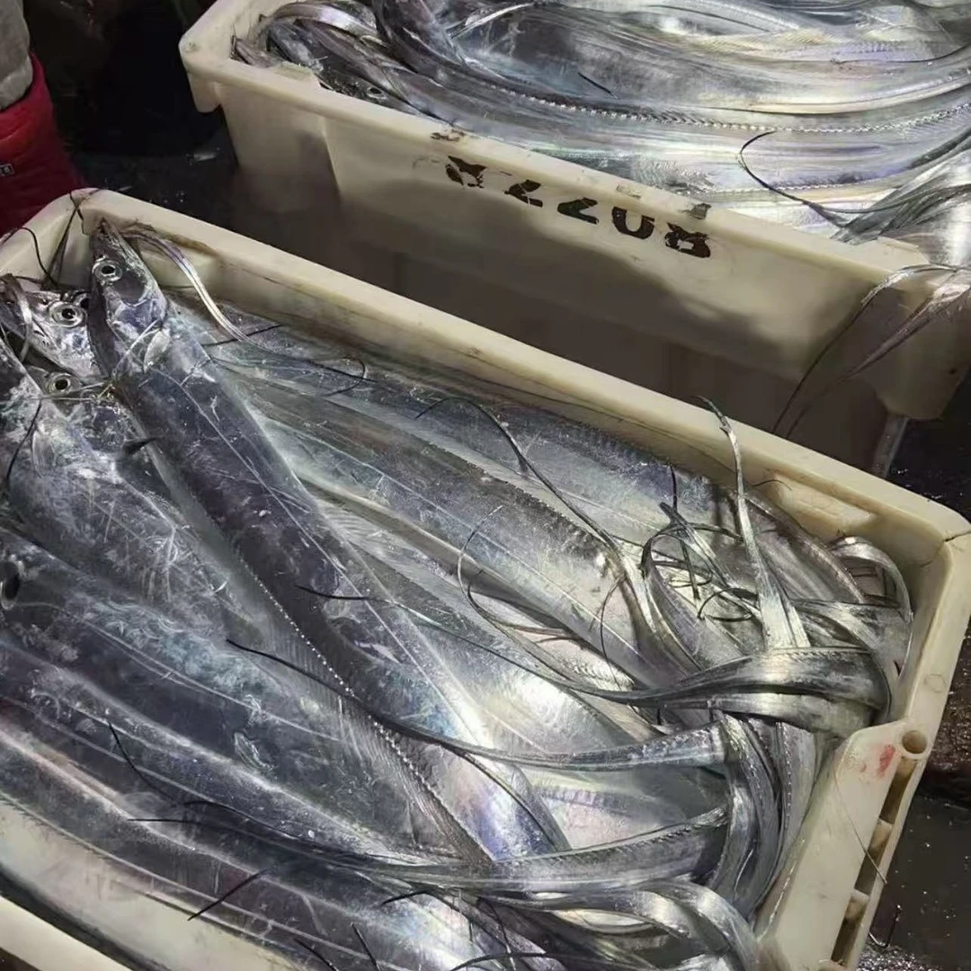 深海野生海捕带鱼5条送2条到手7条(270-310g/条)鲜鱼速冻顺丰发货