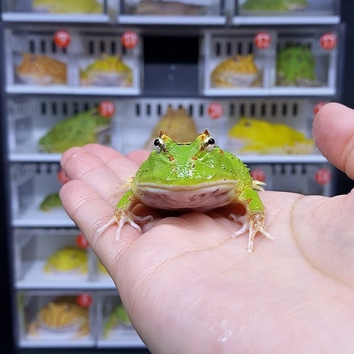 特价秒杀一切顺利