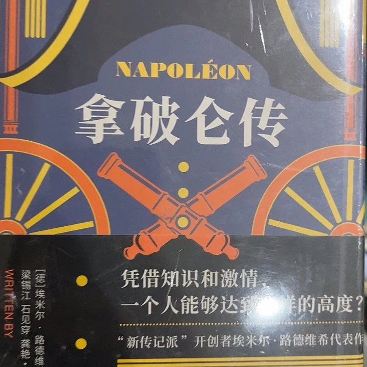 少***成拿破仑传十五米一个