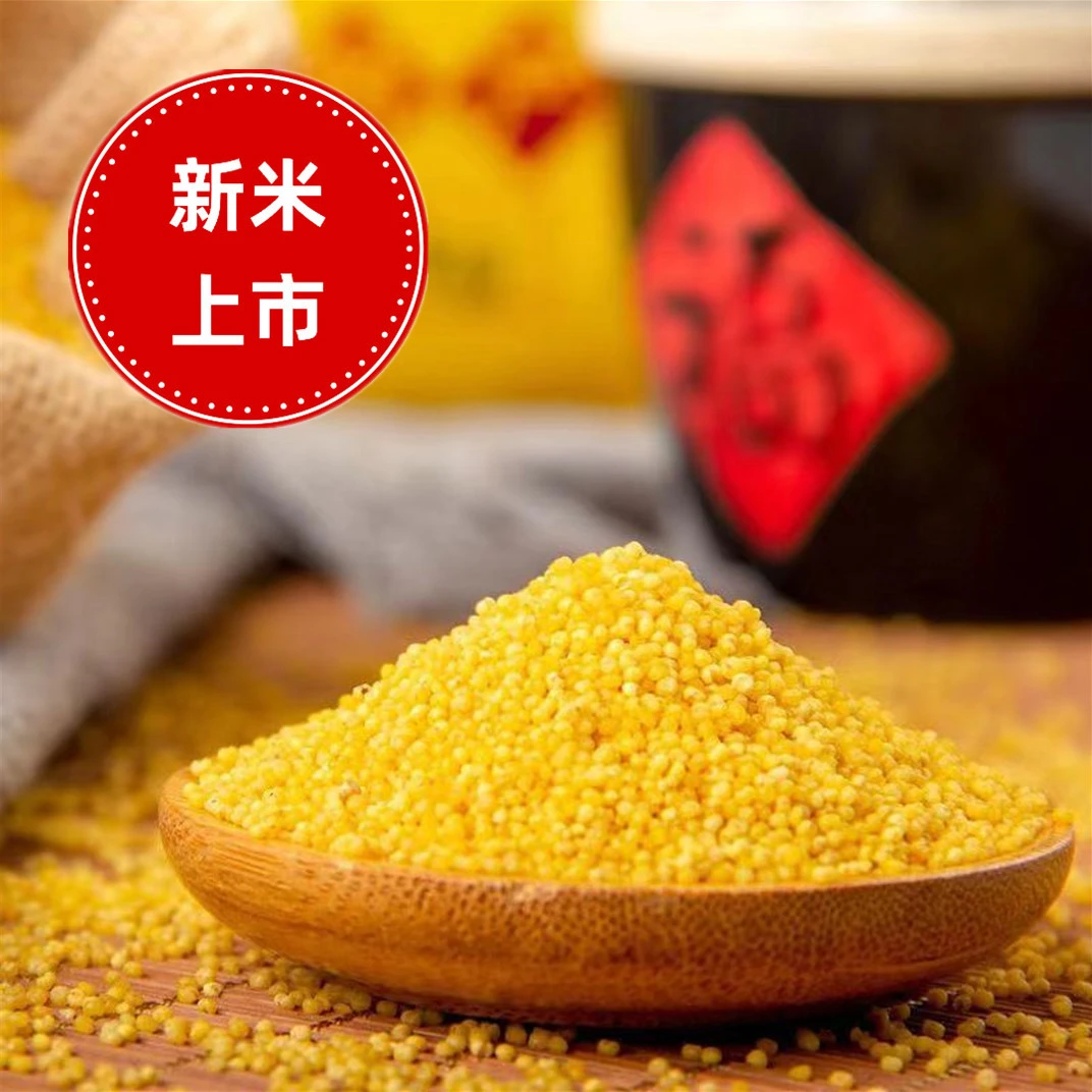 东北黄小米月子米新米5斤装东北黄小米优选食用特产
