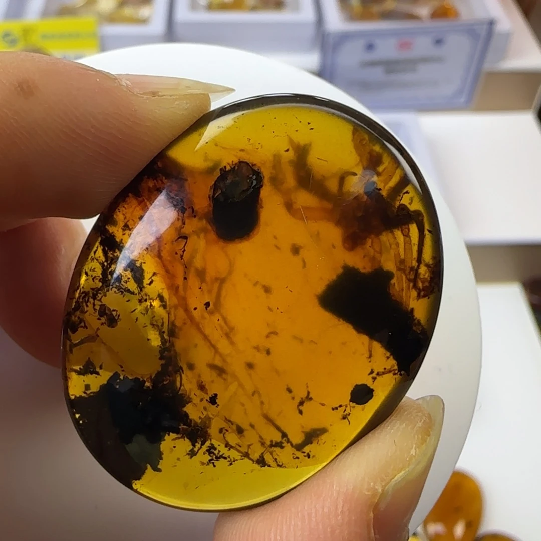 琥珀裸石未镶嵌清****1蜘蛛