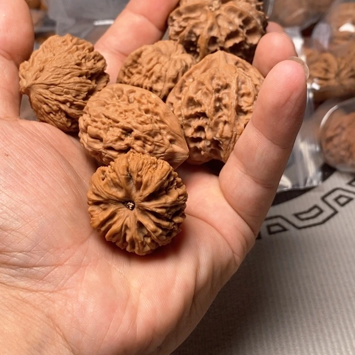 ?5对儿核桃的品种