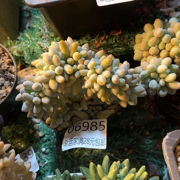 幸运的是我没有遇到过这样