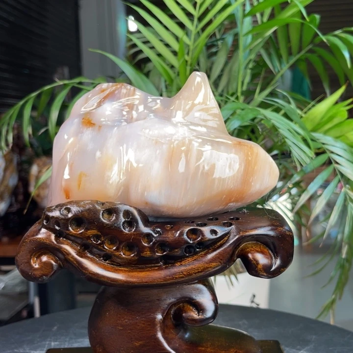 小***、未镶嵌摆件硅化玉（树化玉）