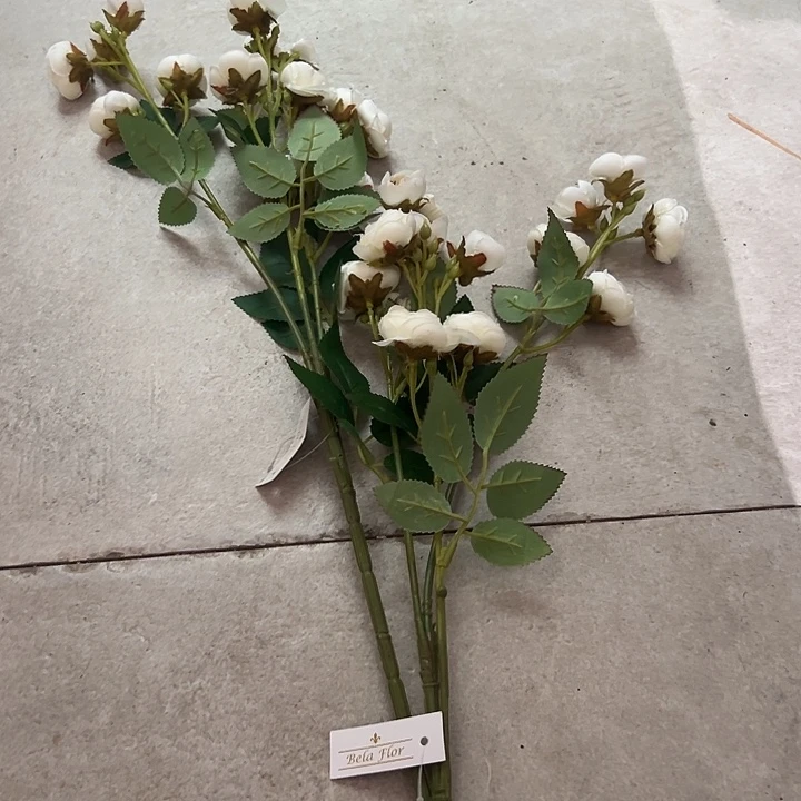 拍品大福利大福利大福利
