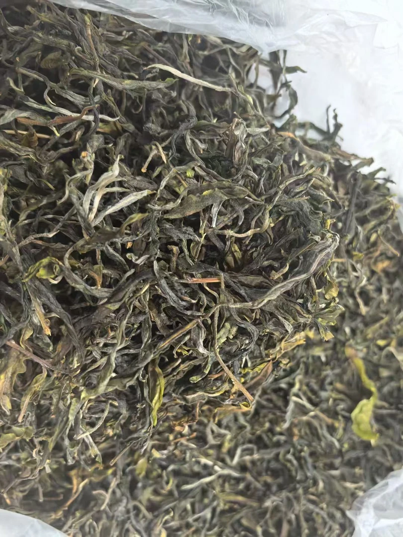 懂过古树纯料普洱茶生茶散茶口感醇厚2021年