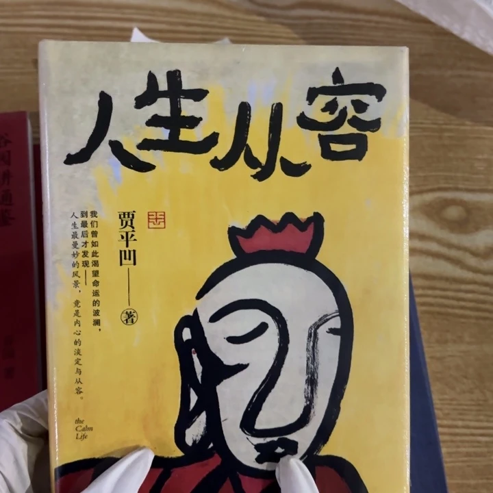 人生从容 闪购师傅10