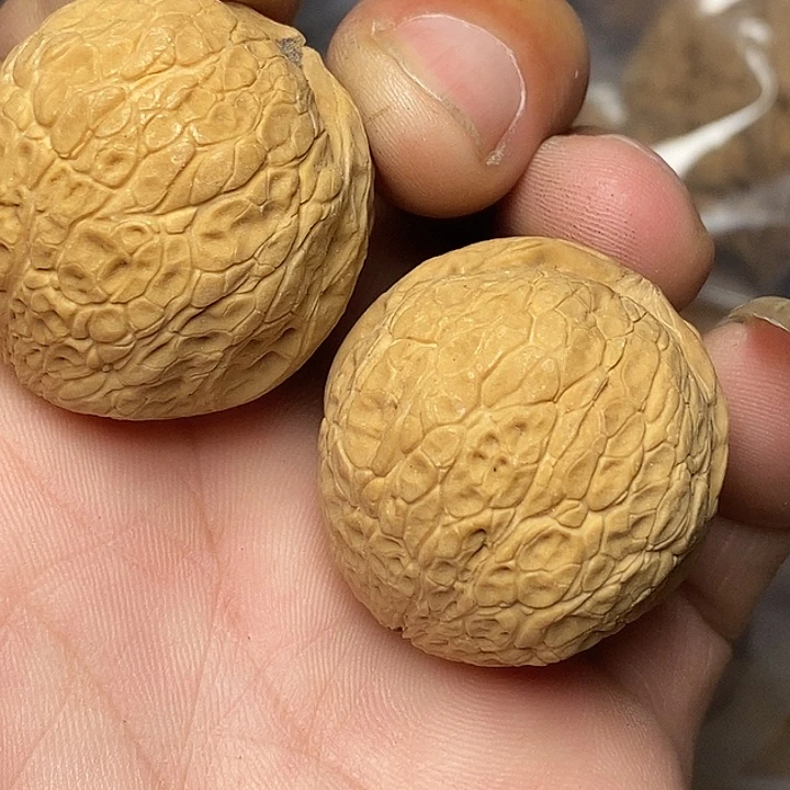 文玩核桃把件云南铁核桃31