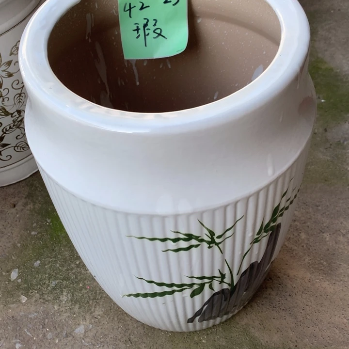 花盆里的小猫咪们都好可爱啊哈哈哈哈哈哈哈哈哈