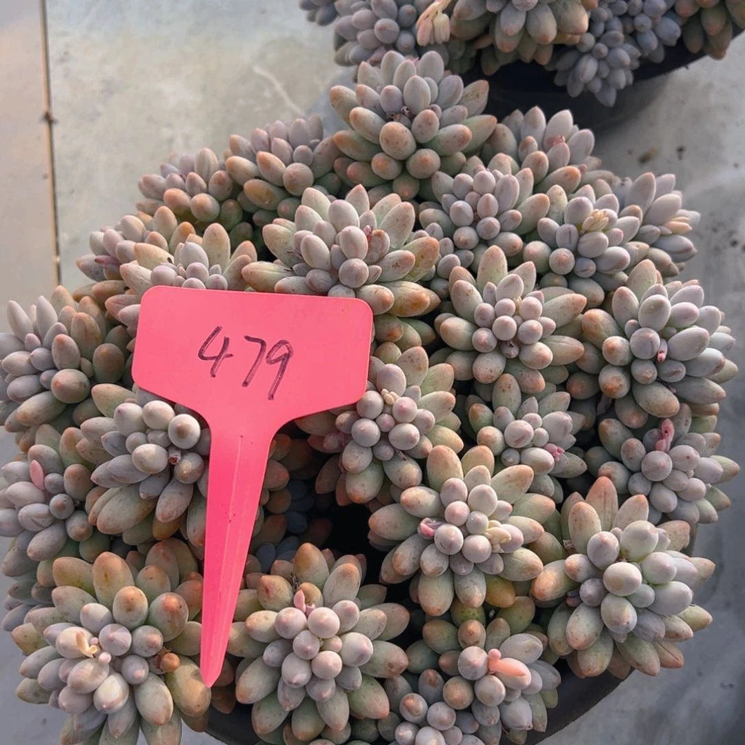 别****吶福利来了来了来了来