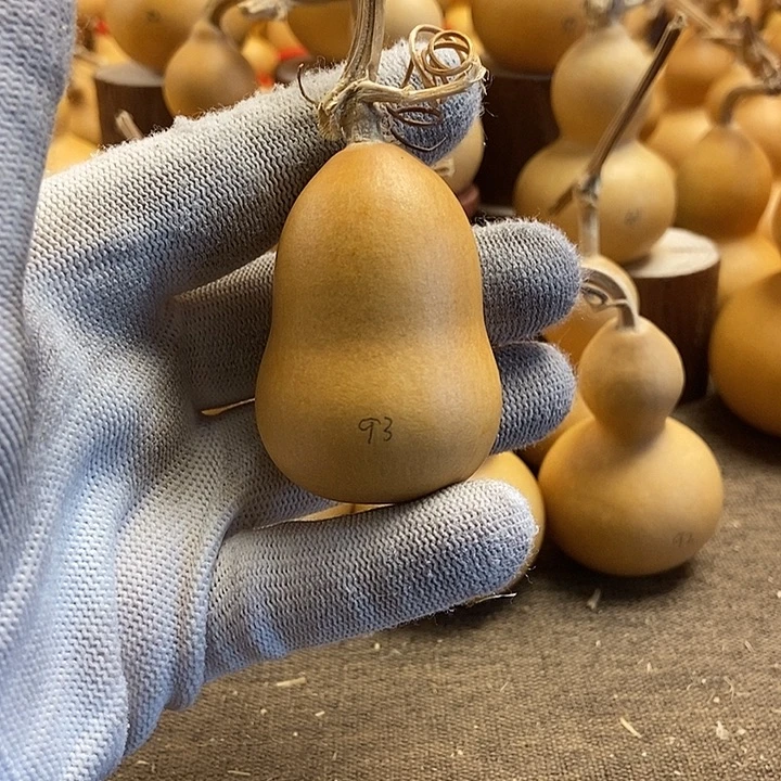 文玩葫芦 完美主义者 慎拍93