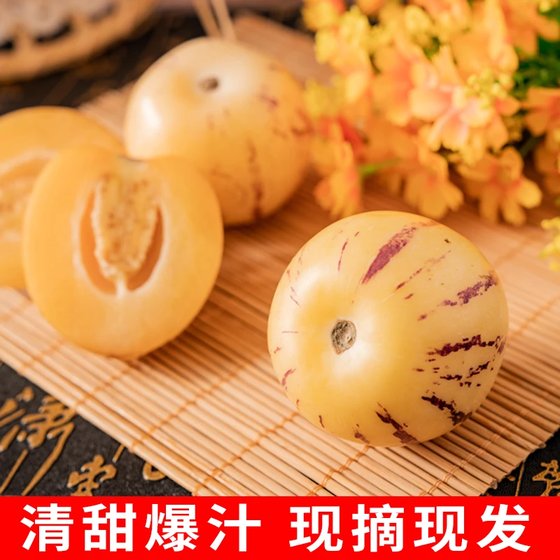 人参果新鲜水果树上熟果娃娃果黄肉人叁果现摘黄肉多汁当季人生果