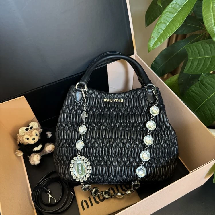 95新/缪缪/包包/[251226XZWC]/C8858858406