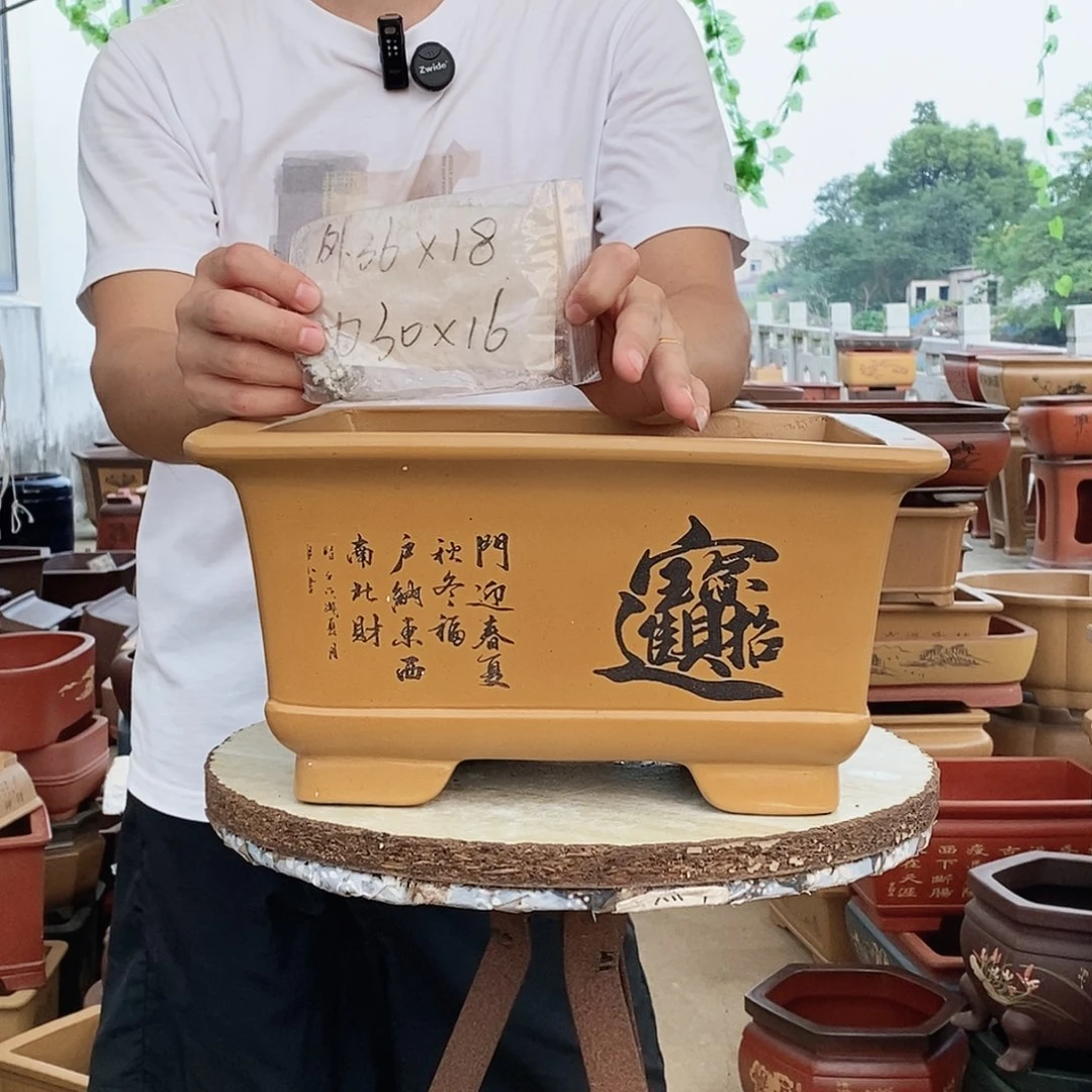 花盆紫砂紫砂花盆