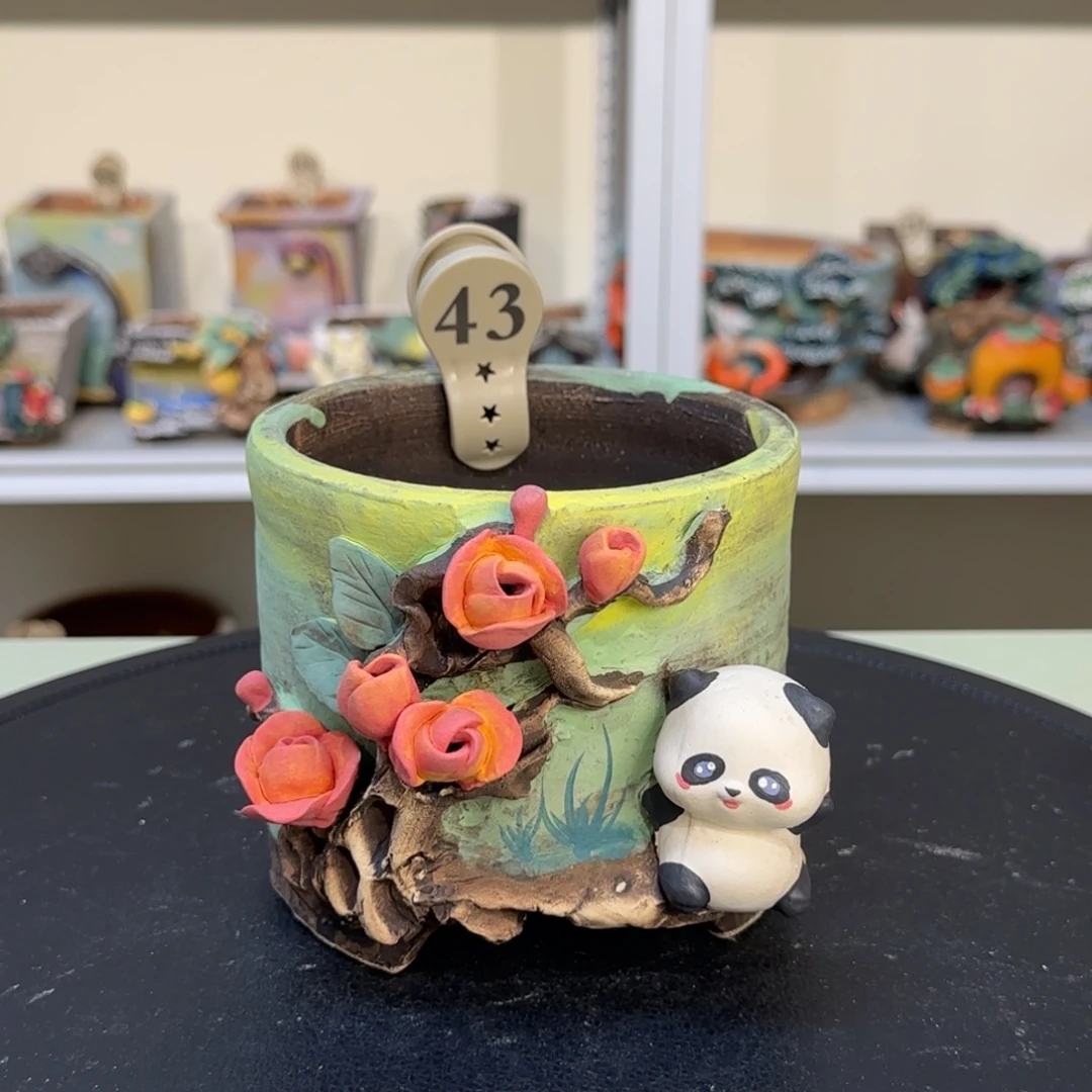 43 【闪购】多肉花盆