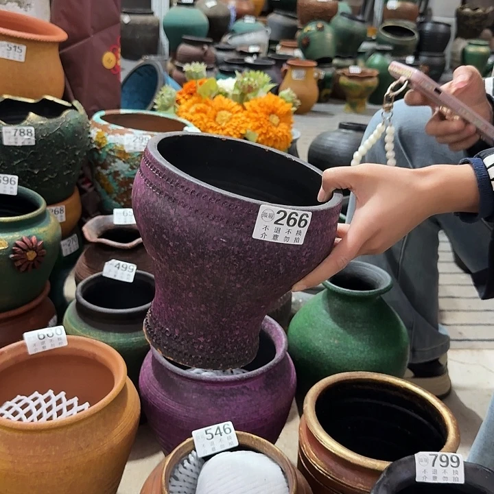 紫色鱼尾266高度20口径18