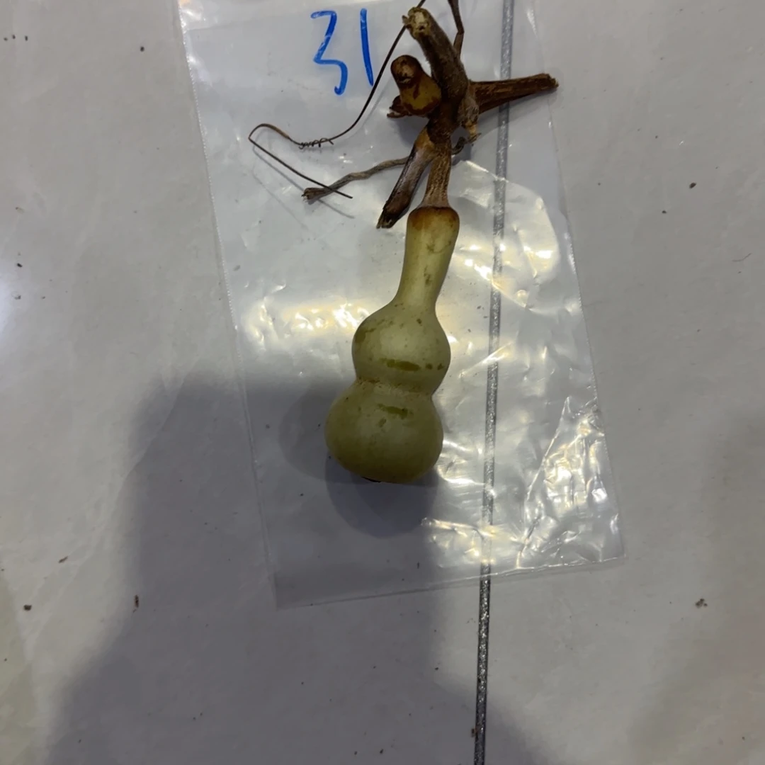 d***n青山小区等我一下好的谢谢您谢谢