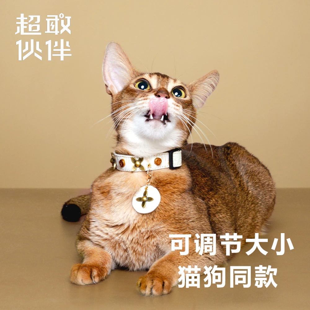 【超敢伙伴】星痕白鳄宠物项圈猫狗同款宝相花中小幼型犬猫猫