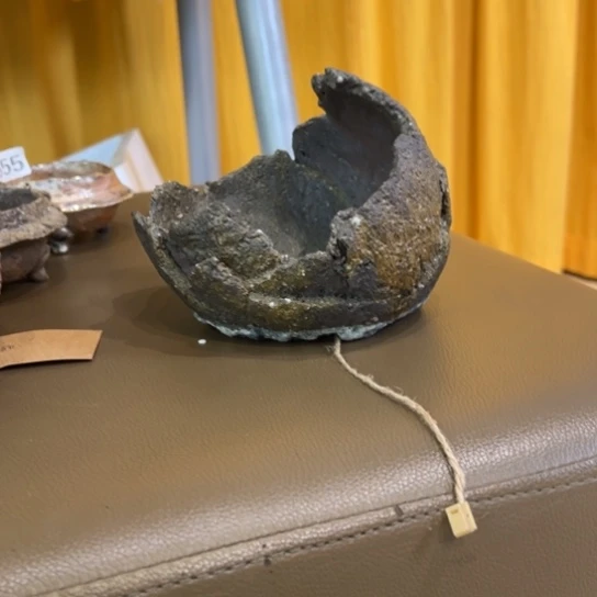 红陶琥***夏12345678