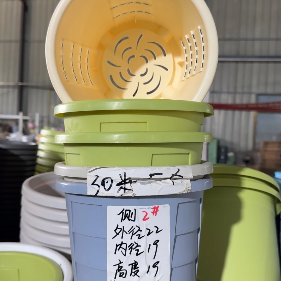 测2#口径22无拖果绿5个