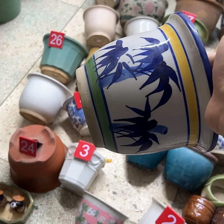 红陶一**叶。。。。。。。。。。