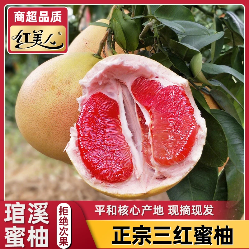 【广东一家人专属】平和琯溪三红蜜柚新鲜采摘柚子香甜爽口多汁当季