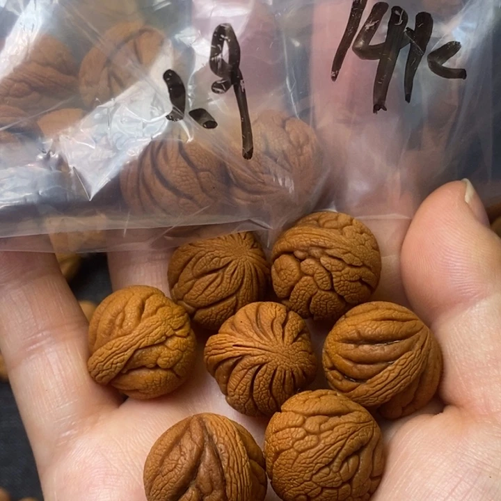 桃核吊坠秦岭山野生桃核