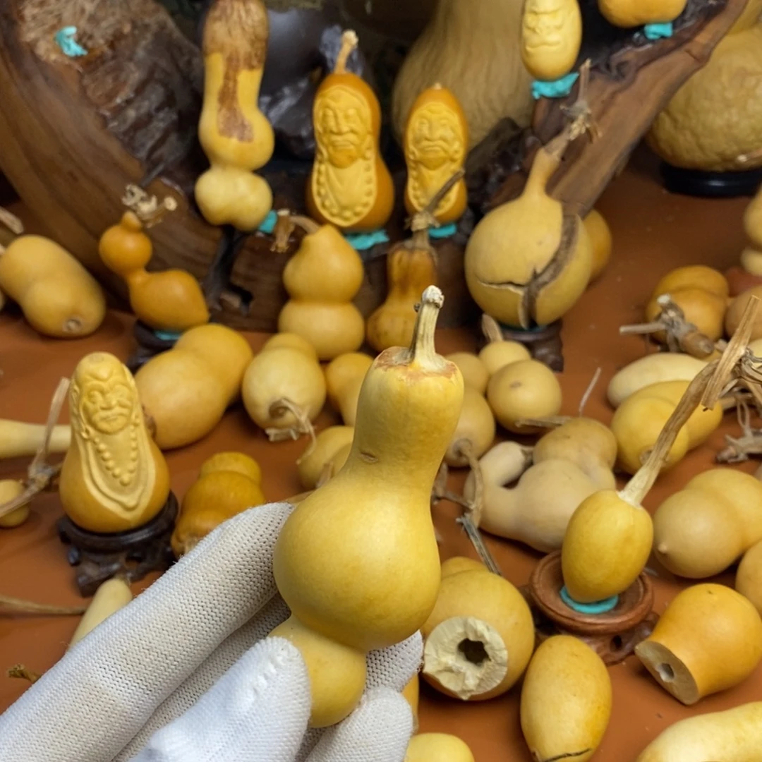 聆***月啦啦教练咯教练咯教练