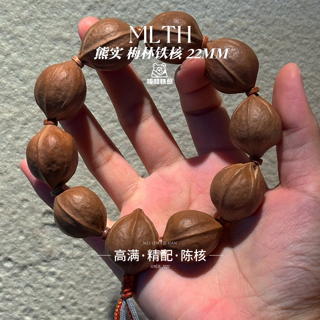 原生态老树梅林铁核22尺寸合集三花鲨鱼背饱满精挑高配文玩素核