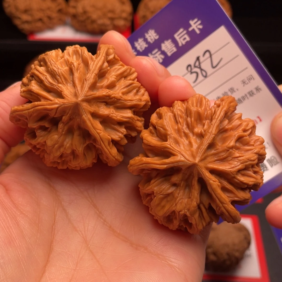 文玩核桃把件三棱奔48尺