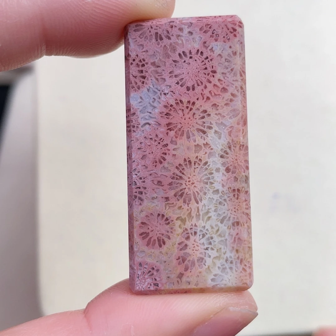 【闪购商品】未镶嵌吊坠(赠链)硅化玉