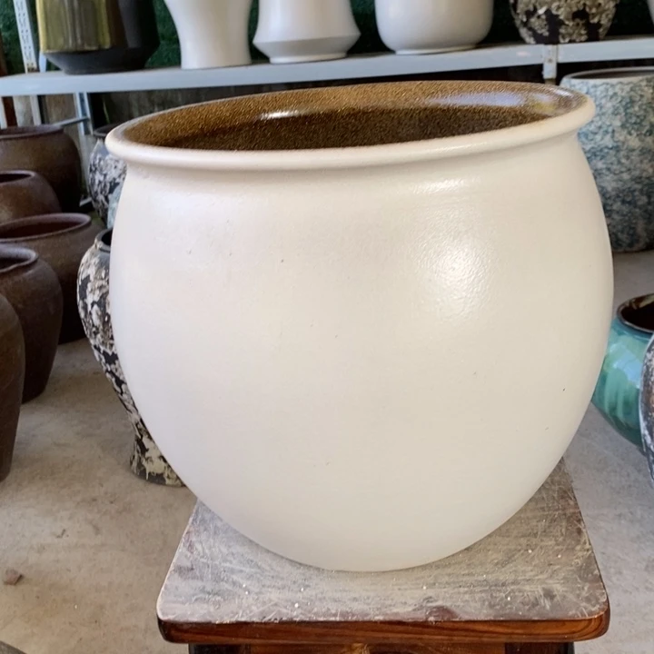 口29高28～～～～～～～～～～～～