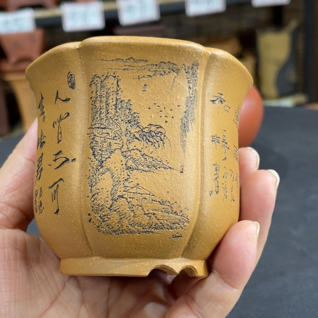 花盆紫砂紫砂花盆在这里