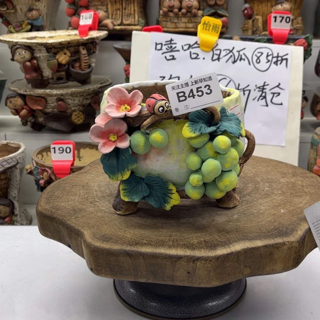 花盆453白狐花盆活动