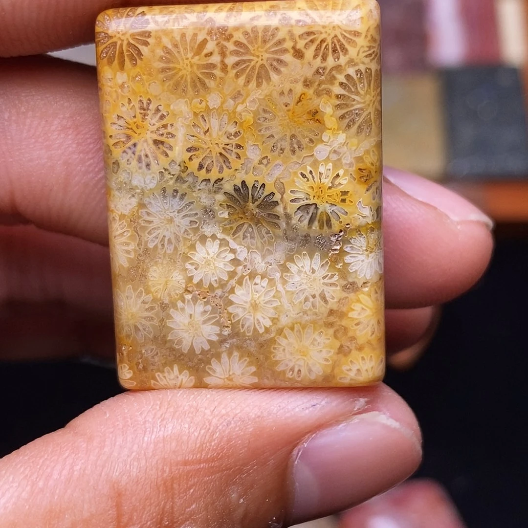 喜***七合金珊瑚玉硅化玉