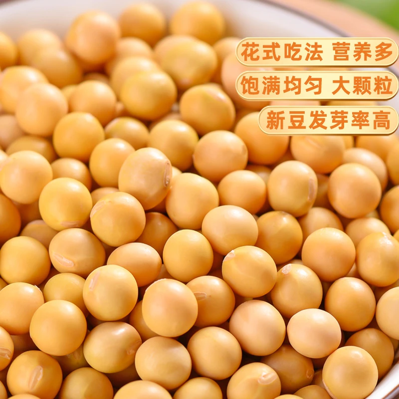 天然高山农家自种黄豆饱满颗粒营养丰富可打豆浆发芽