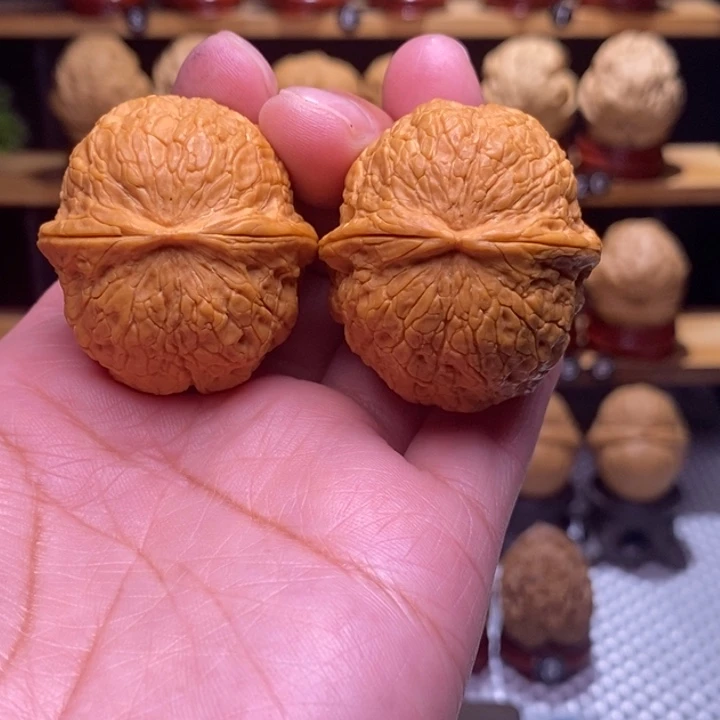 木质类云铁金丝绣球41号