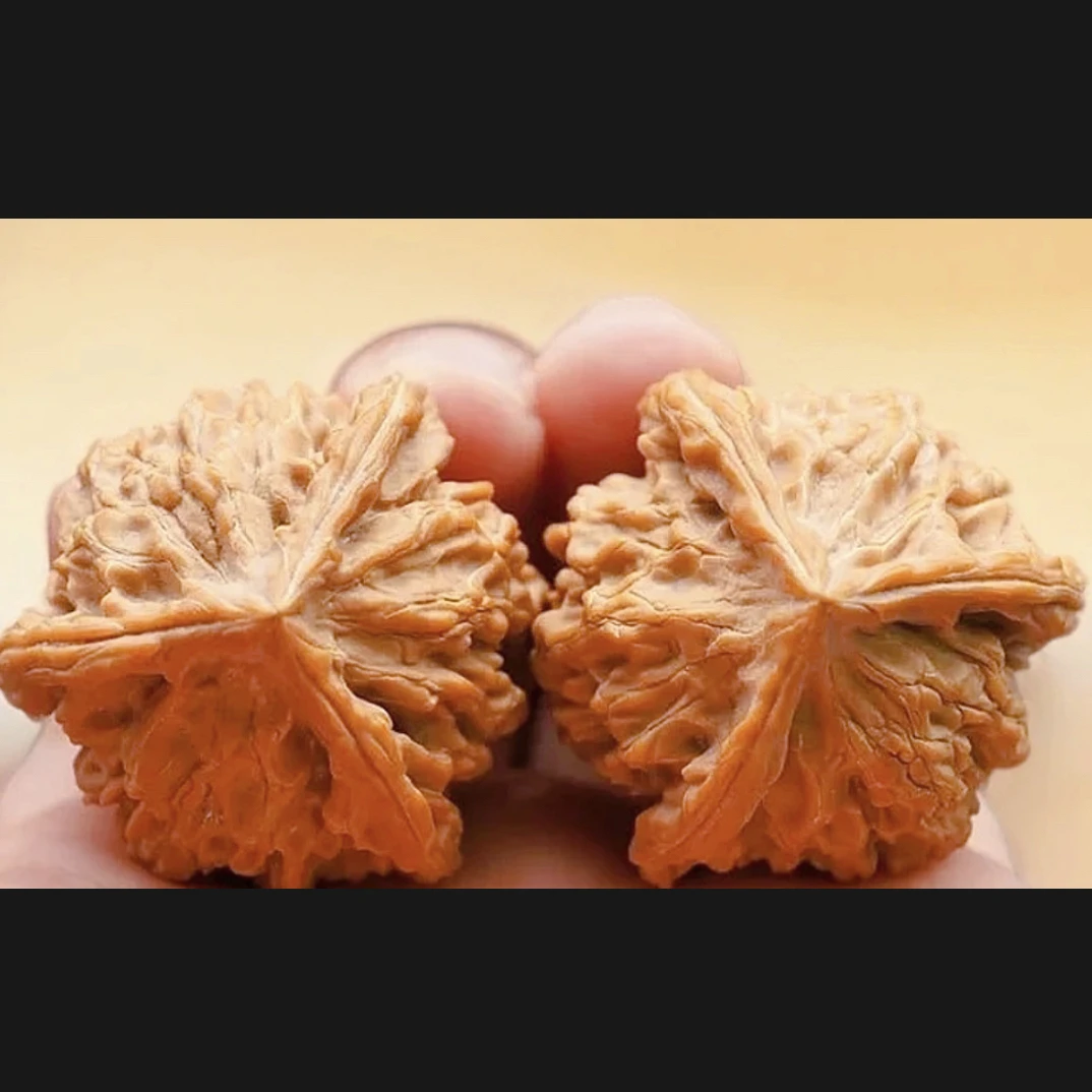 精对全品盘山公子帽三棱奔，边39高33尺一物一图文玩核桃，