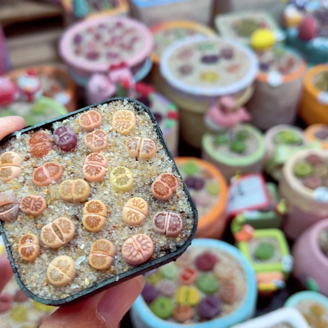 811. 578468666678899