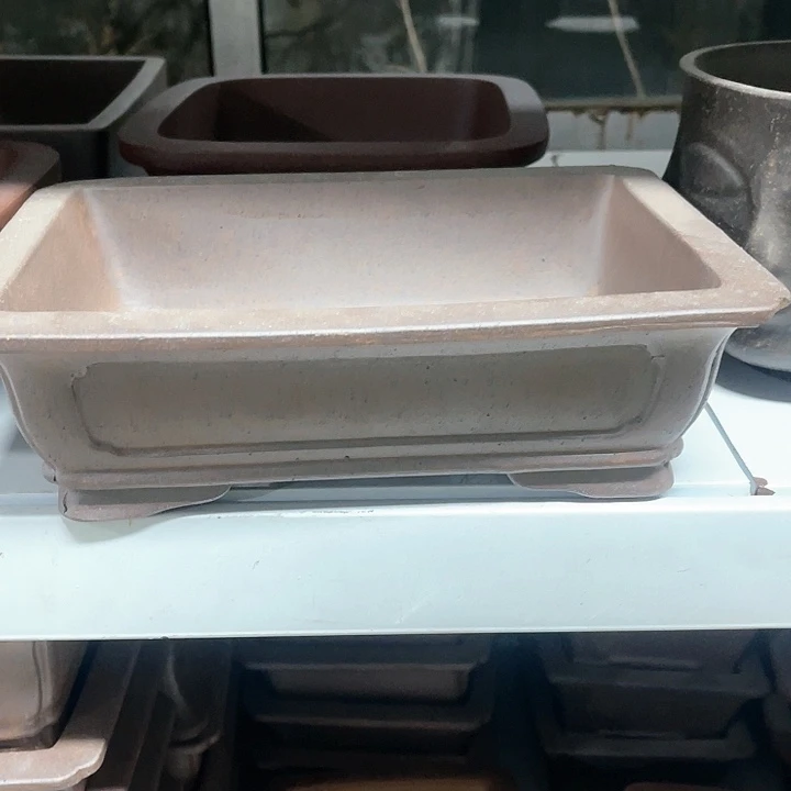 紫砂花盆我也是很爱你们