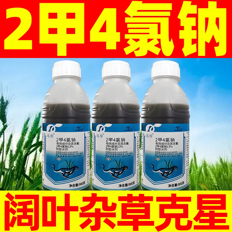 13%2甲4氯钠除草剂二甲四氯钠小麦田除草剂阔叶杂草专用正品农药