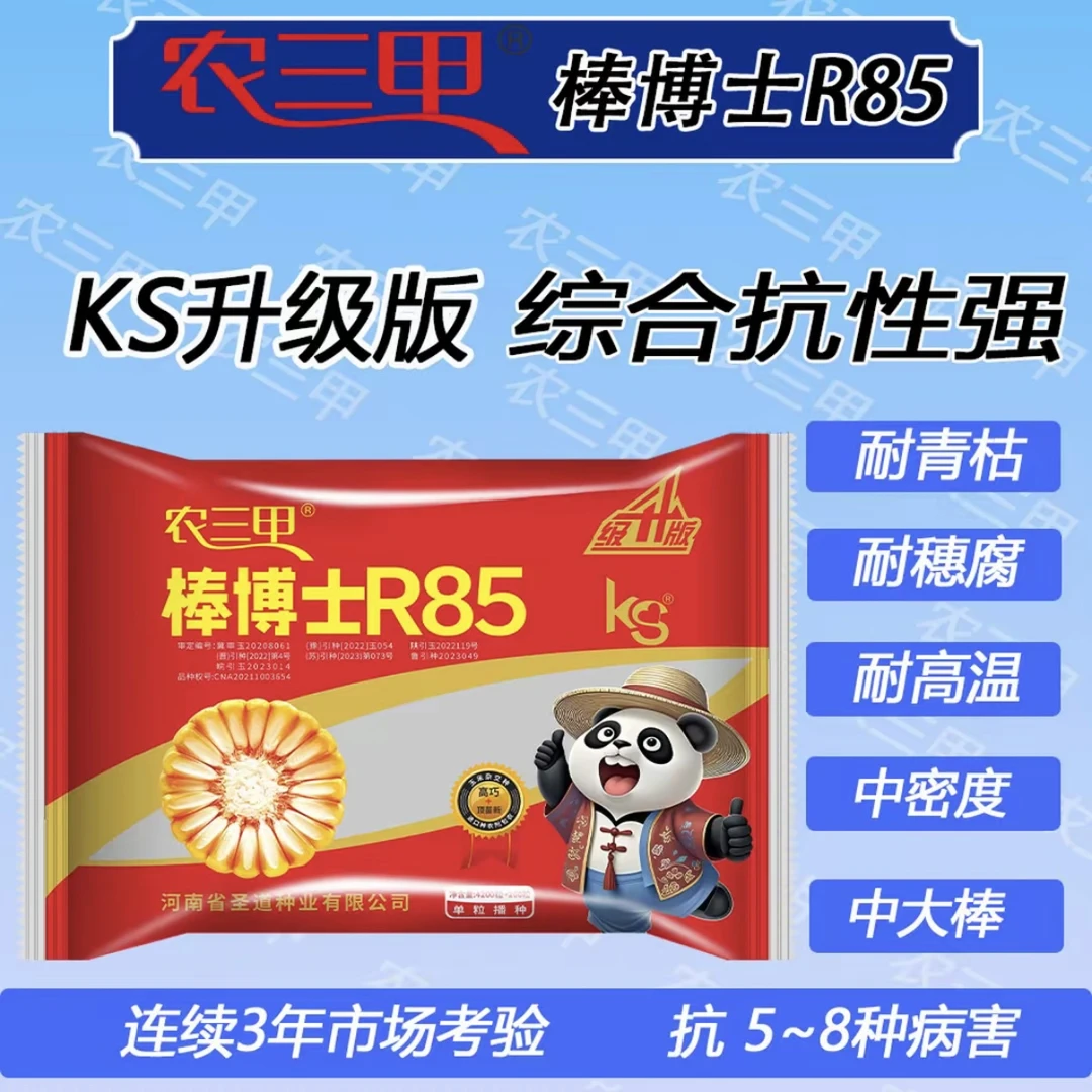 棒博士R85  （大众）升级版 综合抗性强 抗倒伏耐高温 角质粮