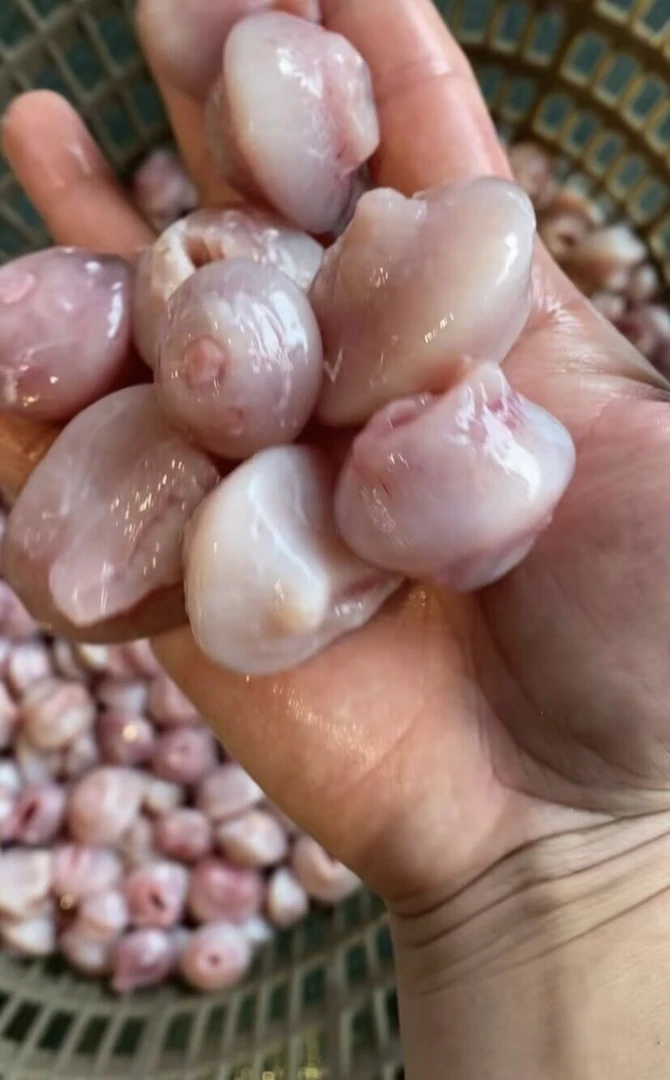 乌鱼胃乌鱼扣冷链包邮